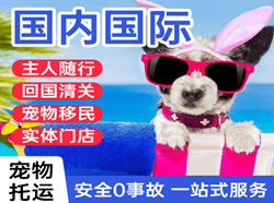 丹东机场托运国际宠物托运 【国